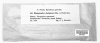 Image Associated With the Occurence